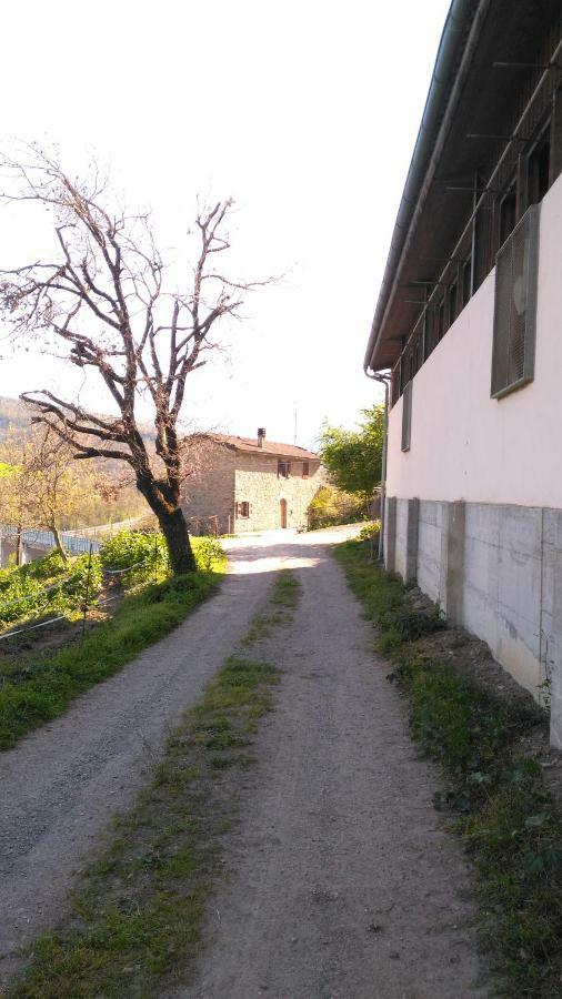 Villa La Cartiera Dei Benandanti Monghidoro Exterior foto